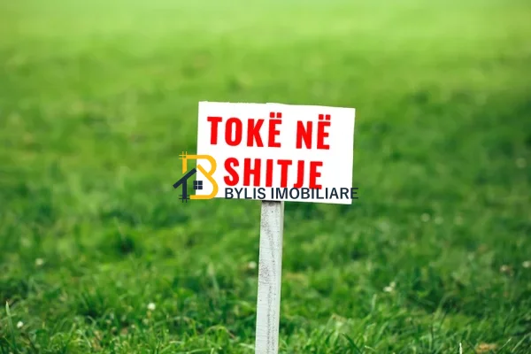 Shitet Toke Buze Detit, Dhermi