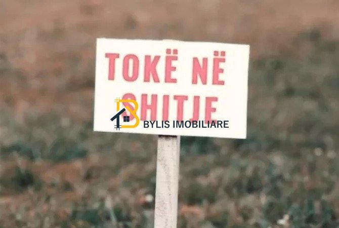 Shitet Toke, Farke, Tirane